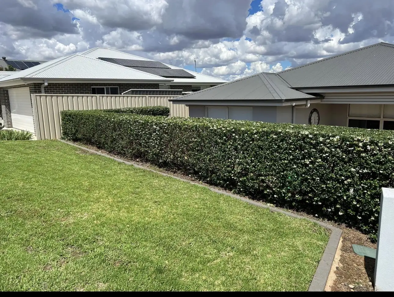 A low, neatly clipped hedge along the edge of a lawn
