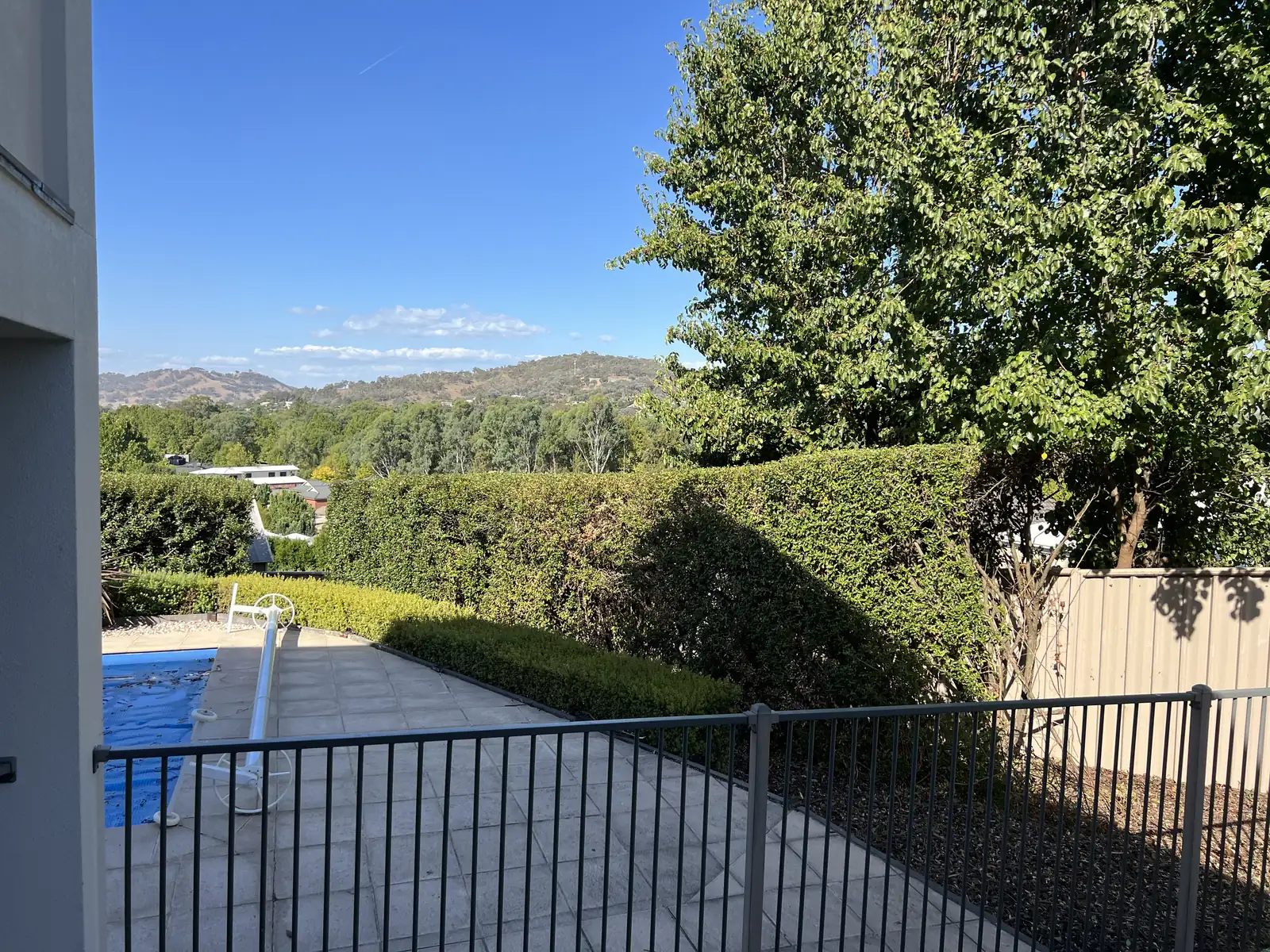 A dense, neatly trimmed hedge along a pool fence beside a house