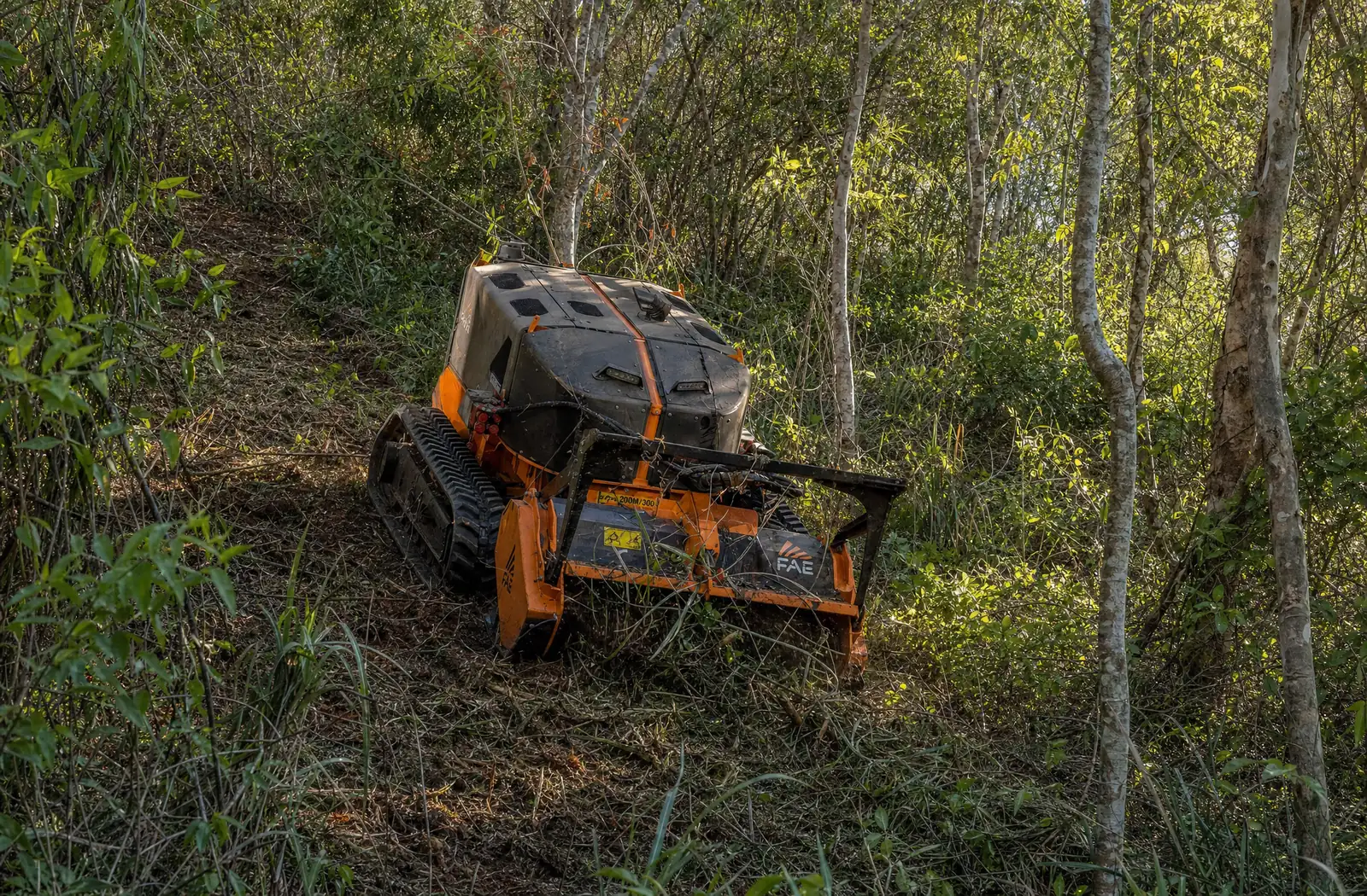A remote-controlled tracked forestry mulcher working up a steep slope through scrub and young gums