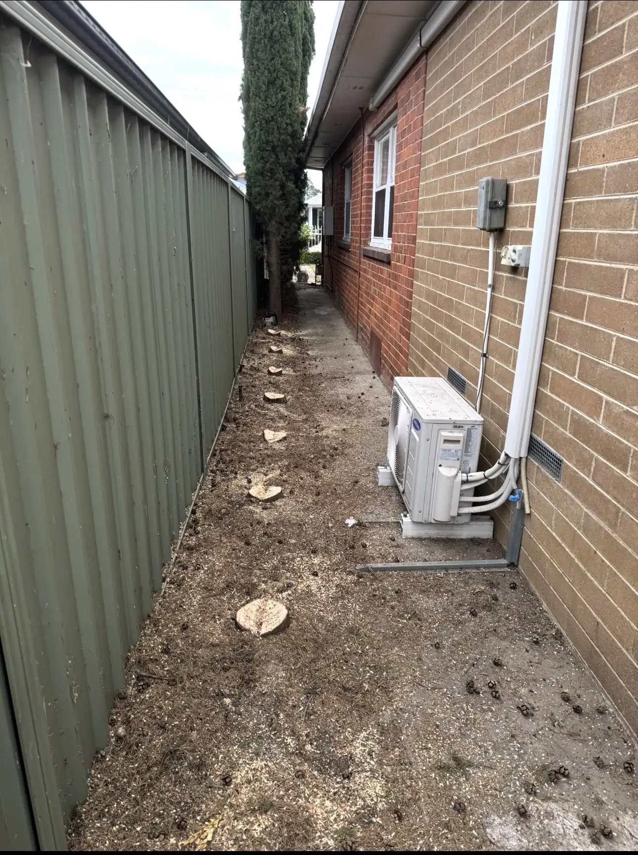 A narrow side passage along a brick house, with cut rounds of timber on the ground